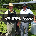 砧板易发霉,怎么选?(图4) 砧板易发霉,怎么选?(图4)