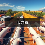 大刀肉(图4) 大刀肉(图4)