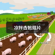 凉拌杏鲍菇片(图4) 凉拌杏鲍菇片(图4)
