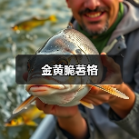 金黄脆薯格(图2) 金黄脆薯格(图2)