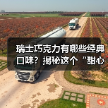 瑞士巧克力有哪些经典口味?揭秘这个“甜心国度”的风味密码!(图3) 瑞士巧克力有哪些经典口味?揭秘这个“甜心国度”的风味密码!(图3)