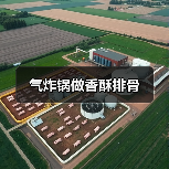 气炸锅做香酥排骨（图1）