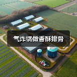气炸锅做香酥排骨（图2）