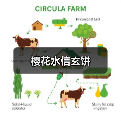 樱花水信玄饼(图2) 樱花水信玄饼(图2)