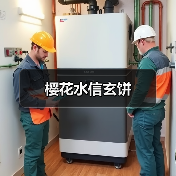 樱花水信玄饼(图3) 樱花水信玄饼(图3)