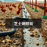 芝士焗排骨(图1) 芝士焗排骨(图1)