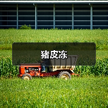 猪皮冻(图3) 猪皮冻(图3)