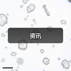资讯(图1) 资讯(图1)