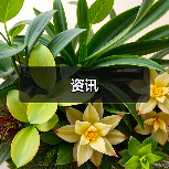 资讯(图3) 资讯(图3)