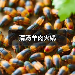 清汤羊肉火锅(图4) 清汤羊肉火锅(图4)