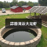 蒜蓉淸蒸大龙虾(图4) 蒜蓉淸蒸大龙虾(图4)