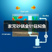 家常砂锅金针菇焖鱼(图4) 家常砂锅金针菇焖鱼(图4)