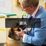 资讯(图4) 资讯(图4)