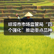 蚌埠市市场监管局“四个强化”推动重点品种食用农产品专项整治见实效(图3) 蚌埠市市场监管局“四个强化”推动重点品种食用农产品专项整治见实效(图3)