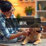资讯(图2) 资讯(图2)