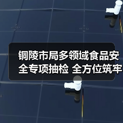铜陵市局多领域食品安全专项抽检 全方位筑牢食品安全防线（图2）
