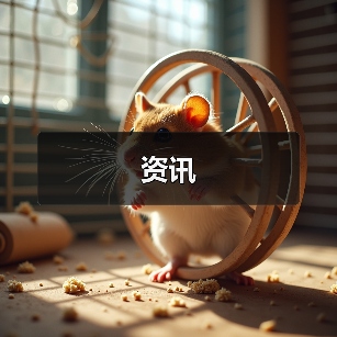 资讯（图2）