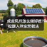 虎皮凤爪怎么做好吃?松酥入味家常做法(图1) 虎皮凤爪怎么做好吃?松酥入味家常做法(图1)