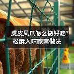虎皮凤爪怎么做好吃?松酥入味家常做法(图4) 虎皮凤爪怎么做好吃?松酥入味家常做法(图4)
