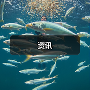 资讯(图2) 资讯(图2)