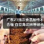 广东21批次食品抽检不合格 白豆角泥鳅等被点名(图4) 广东21批次食品抽检不合格 白豆角泥鳅等被点名(图4)