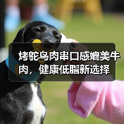 烤鸵鸟肉串口感媲美牛肉，健康低脂新选择（图4）