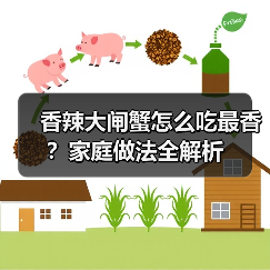 香辣大闸蟹怎么吃最香?家庭做法全解析(图2) 香辣大闸蟹怎么吃最香?家庭做法全解析(图2)