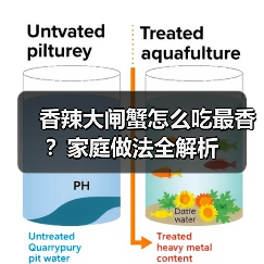 香辣大闸蟹怎么吃最香?家庭做法全解析(图4) 香辣大闸蟹怎么吃最香?家庭做法全解析(图4)