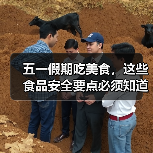 五一假期吃美食，这些食品安全要点必须知道！（图2）