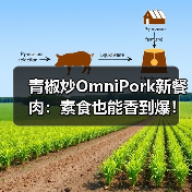青椒炒OmniPork新餐肉：素食也能香到爆！（图1）
