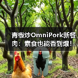 青椒炒OmniPork新餐肉：素食也能香到爆！（图3）