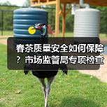 春茶质量安全如何保障?市场监管局专项检查护航(图1) 春茶质量安全如何保障?市场监管局专项检查护航(图1)