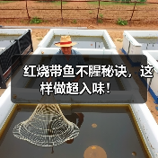 红烧带鱼不腥秘诀，这样做超入味！（图3）