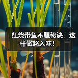 红烧带鱼不腥秘诀，这样做超入味！（图2）