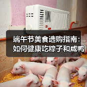 端午节美食选购指南：如何健康吃粽子和咸鸭蛋？（图2）