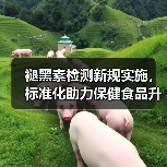 褪黑素检测新规实施，标准化助力保健食品升级（图1）