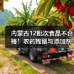 内蒙古12批次食品不合格!农药残留与添加剂超标引关注(图4) 内蒙古12批次食品不合格!农药残留与添加剂超标引关注(图4)