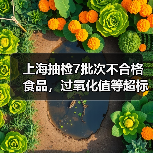 上海抽检7批次不合格食品,过氧化值等超标问题引关注(图3) 上海抽检7批次不合格食品,过氧化值等超标问题引关注(图3)