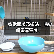 家常蒲瓜汤做法,清爽解暑又营养(图2) 家常蒲瓜汤做法,清爽解暑又营养(图2)