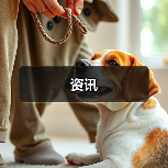 资讯（图4）