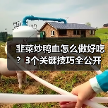 韭菜炒鸭血怎么做好吃？3个关键技巧全公开（图1）