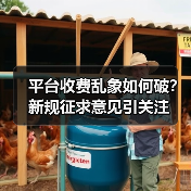 平台收费乱象如何破？新规征求意见引关注（图2）