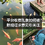 平台收费乱象如何破？新规征求意见引关注（图1）