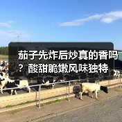 茄子先炸后炒真的香吗？酸甜脆嫩风味独特（图4）