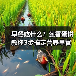 早餐吃什么？葱香蛋饼教你3步搞定营养早餐（图2）