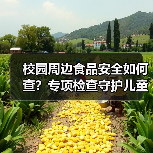 校园周边食品安全如何查?专项检查守护儿童舌尖安全(图4) 校园周边食品安全如何查?专项检查守护儿童舌尖安全(图4)