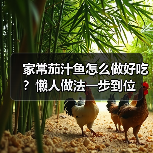 家常茄汁鱼怎么做好吃?懒人做法一步到位(图4) 家常茄汁鱼怎么做好吃?懒人做法一步到位(图4)