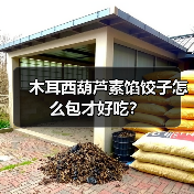 木耳西葫芦素馅饺子怎么包才好吃?(图4) 木耳西葫芦素馅饺子怎么包才好吃?(图4)