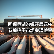 固镇县湖沟镇开展端午节前粽子市场专项检查工作(图3) 固镇县湖沟镇开展端午节前粽子市场专项检查工作(图3)