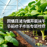 固镇县湖沟镇开展端午节前粽子市场专项检查工作(图4) 固镇县湖沟镇开展端午节前粽子市场专项检查工作(图4)